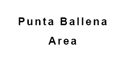 Punta Ballena Area